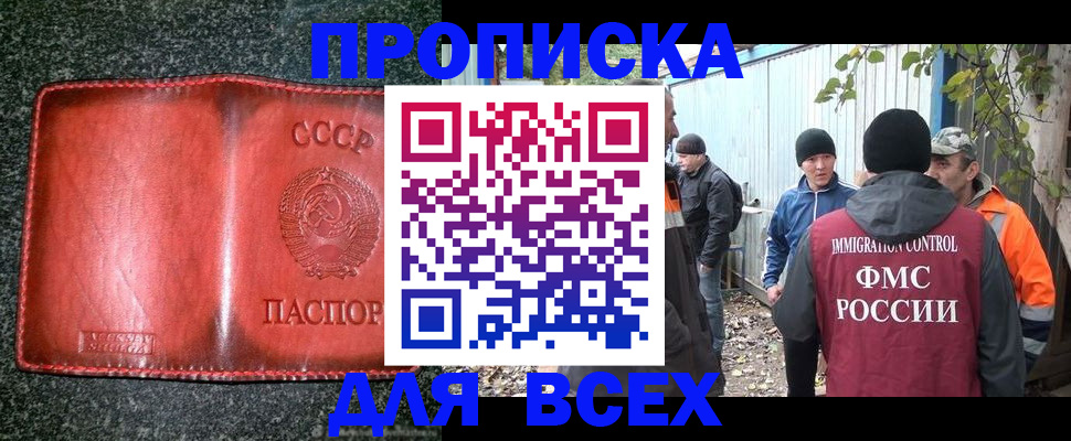 временная регистрация поиск в Жирновске